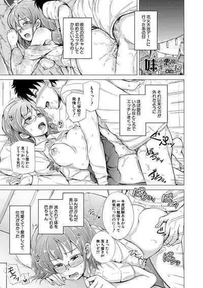 Sister Harem Paradox