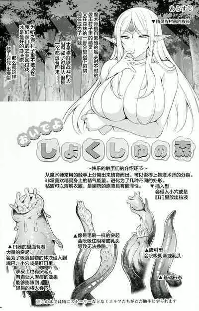 Ninokoya C104 Omake Hon