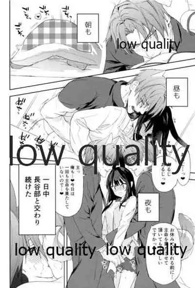 食欲旺盛な忠犬達と