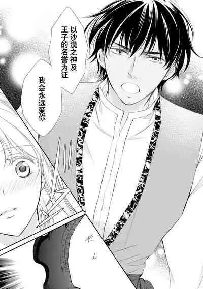 sabaku no ōji to kaizoku hime | 沙漠王子与海盗公主