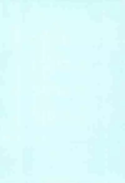 JYOJIZM AFTER SUMMER & AUTUMN