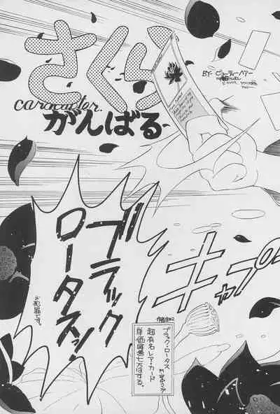 Kero-chan to Issho!!