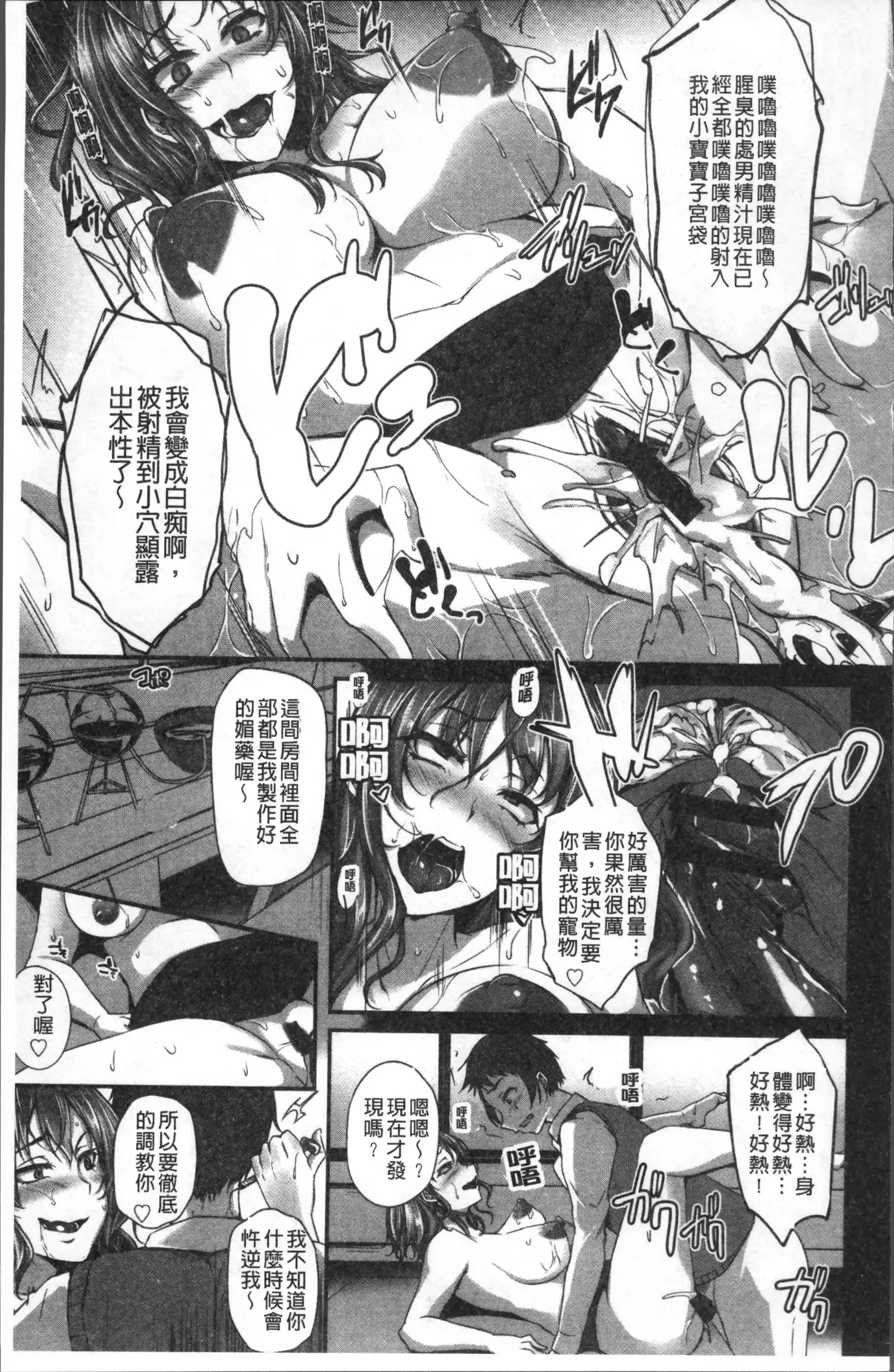 Junjou Try Inpouroku