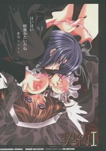 (C67) [RIRIADOLL (Takewakamaru)] 契約 I (Kidou Senshi Gundam SEED DESTINY)sample