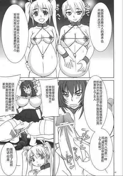 Kyouhime-sama wa Nikubenki