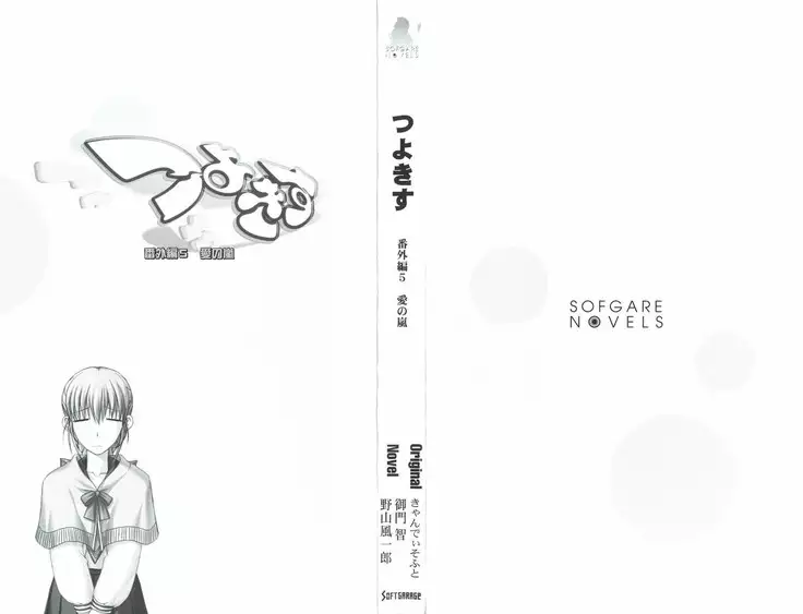 つよきす 番外編5 愛の嵐