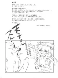 (Reitaisai 8) [Dokomademo Aoi Sora ni Ukabu Niku (Nikusoukyuu)] Mousou Nenpou (Touhou Project)