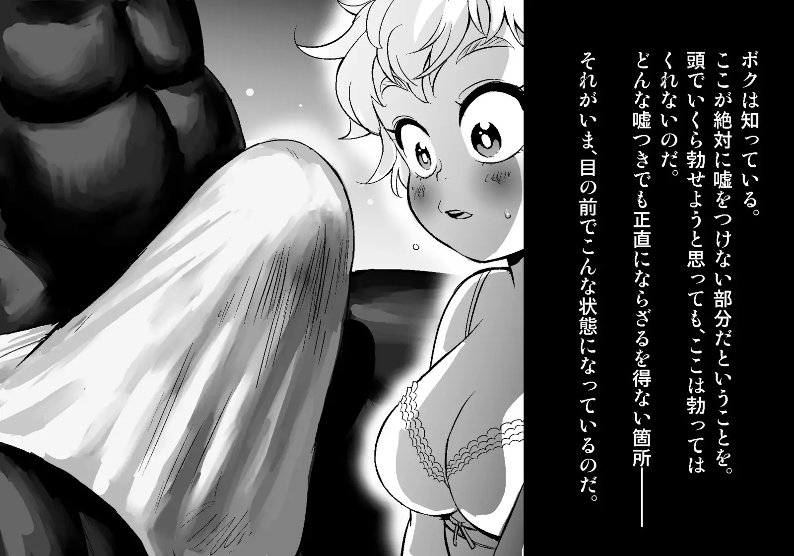 フェアリーセティ