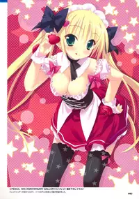 Twinkle Crusaders -Passion Star Stream- Visual Fanbook