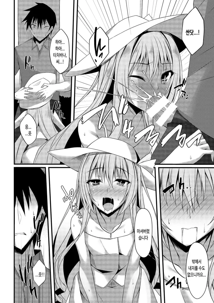 PROVISIONAL NAME T's