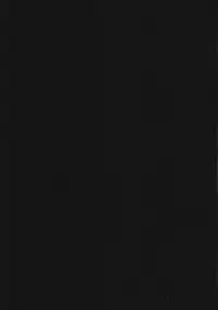 (C75) [Honey Pharmacy (Fukami Ryou)] SEXY PANIC ~Neko to Saru no Love Fight (Full Metal Panic!)