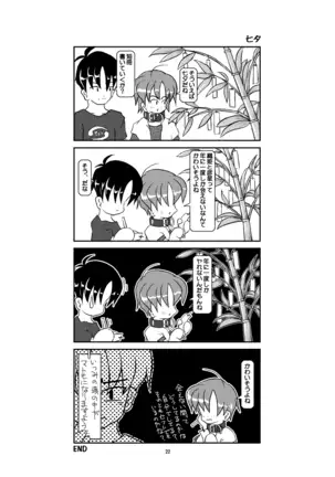 Kubiwa Diary Sousyuu Hen