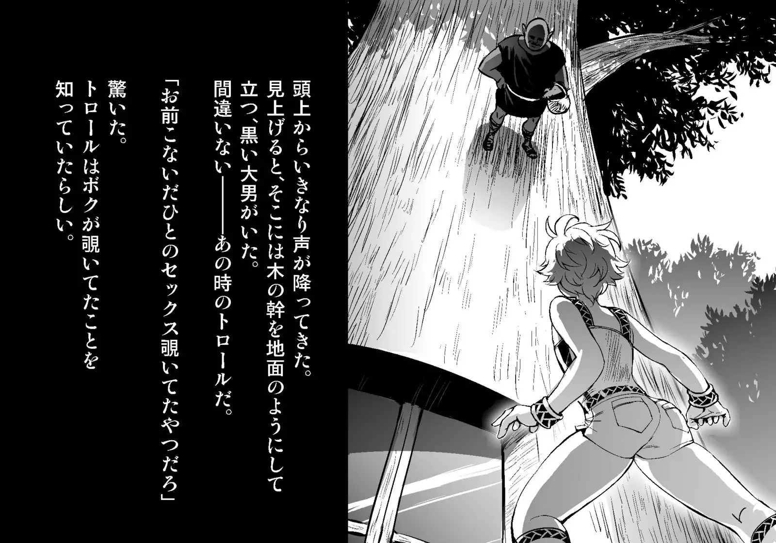 フェアリーセティ