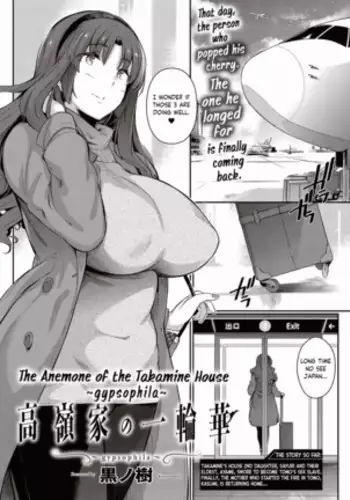Takamine-ke no Ichirinsou ~gypsophila~ | The Anemone of the Takamine House ~gypsohila~