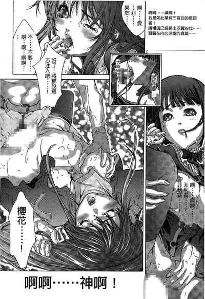 The Flower In Paris 2