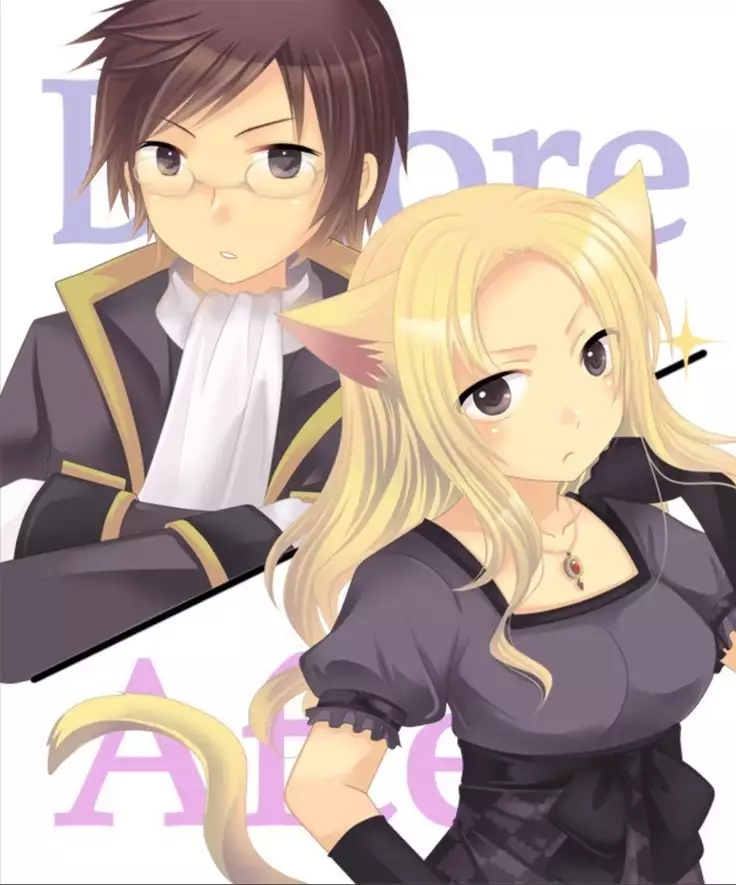 Okashi Assorted Packs - Unscented Taste