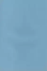 Digimon Bousou Ressha