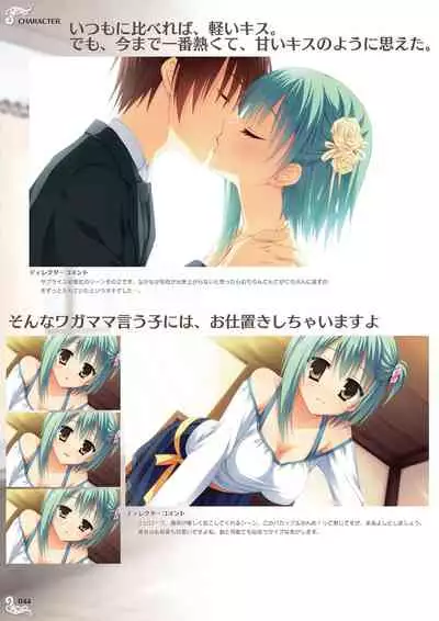 NobleWorks Official Visual Fanbook