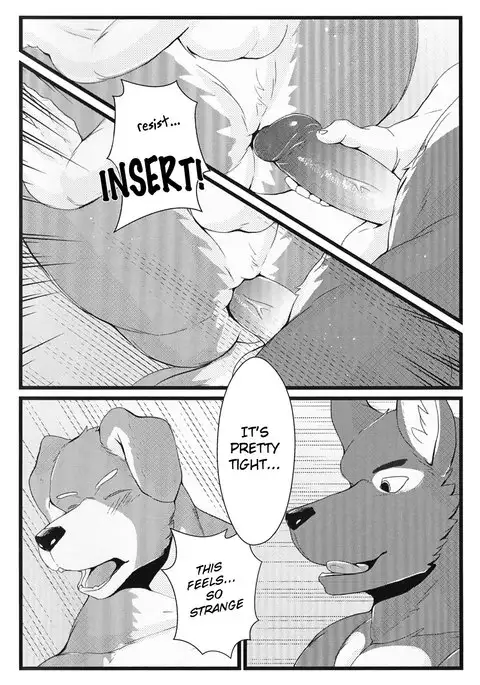 Holidays of First Time