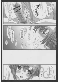 (Mimiket 12) [HAPPY WATER (Kizaki Yuuri)] Himegoto. (Gundam SEED Destiny)