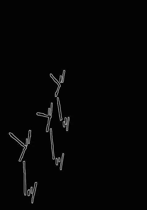地獄でなぜ悪い