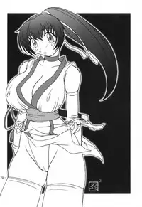 (C59) [KENIX (Ninnin!)] Hanagasumi (Dead or Alive)