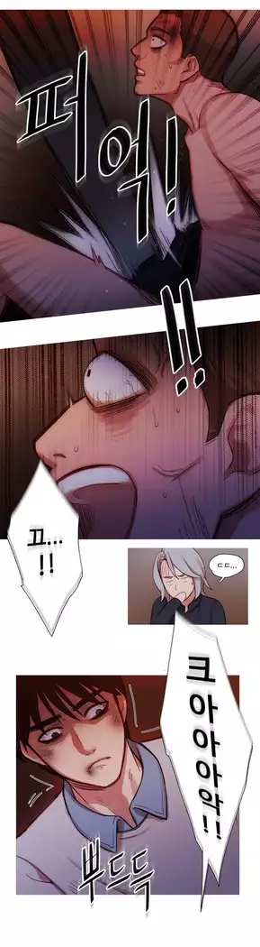 Scandal of the Witch Ch.0-29