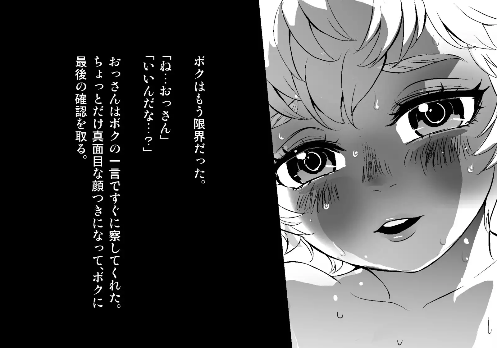 フェアリーセティ