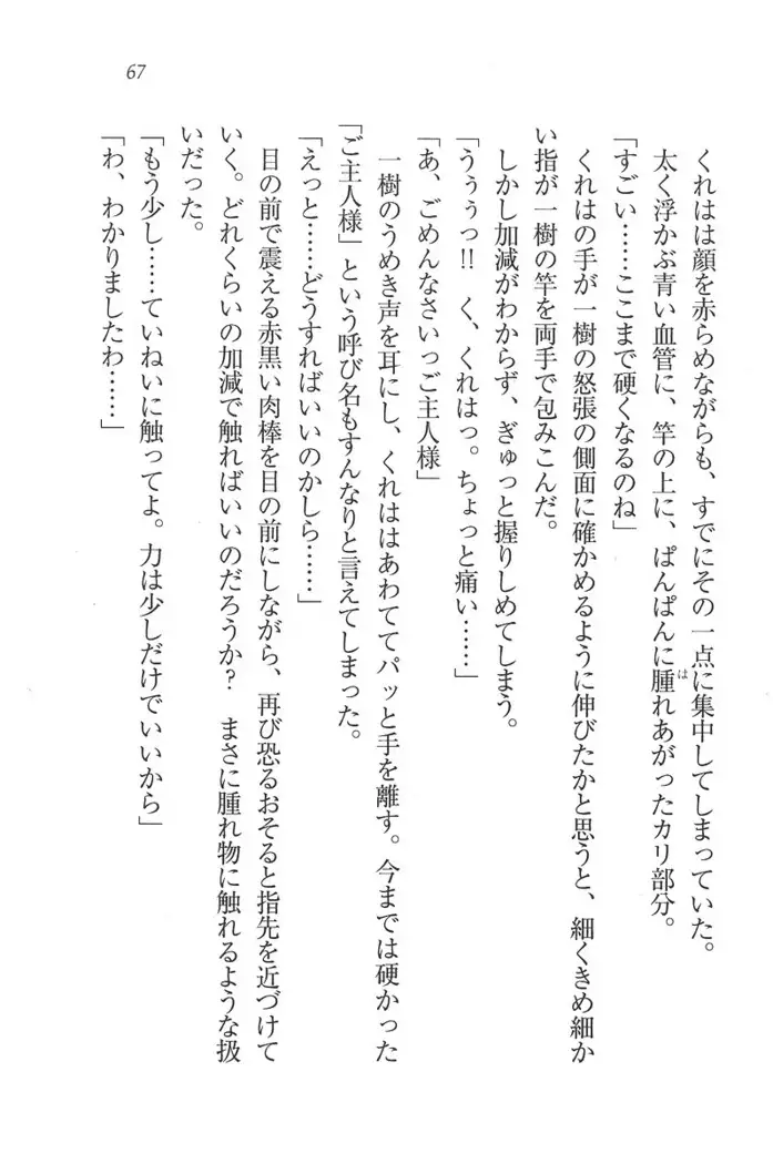 お嬢様はメイド様!？