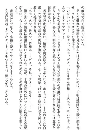 年上メイドの新婚日記