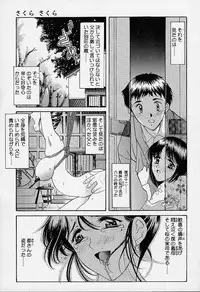 [Amayumi] sakura sakura