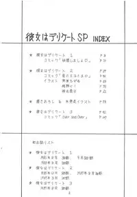 (C36) [DESTINATION (Oda Jun)] Kanojo wa Delicate SPECIAL (Combattler V)