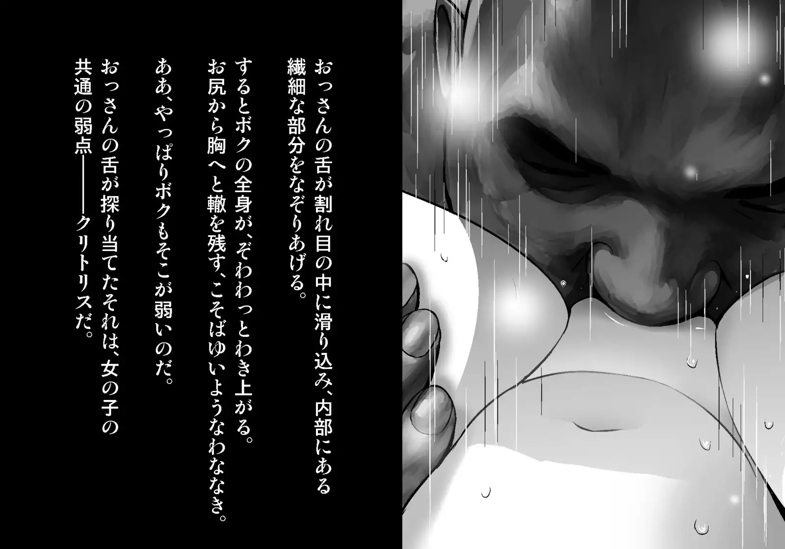 フェアリーセティ