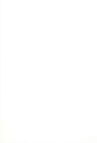 SIMPLE Feti Series vol.1 THE Pantsu