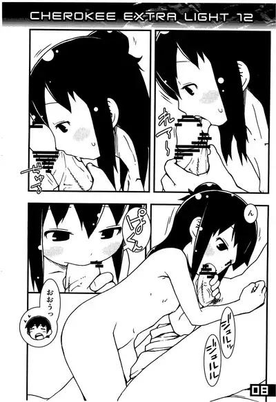 CHEROKEE EXTRA LIGHT 12