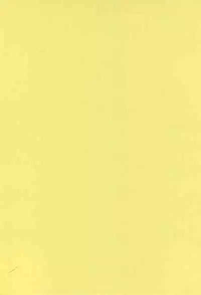 SYL - Spread Your Legs