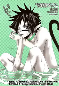 [Sadistic Mary (Hattori Mitsuka)] Neurotransmitter (Bleach)