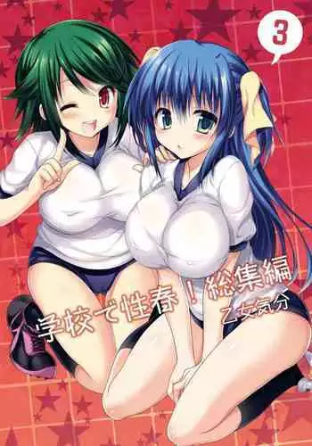 Gakkou de Seishun! Soushuuhen 3