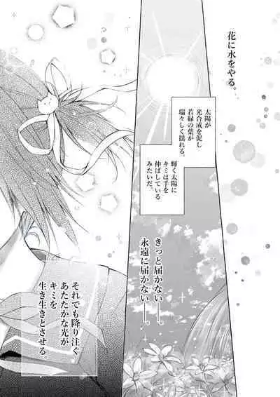 Nyancology Soushuuhen 2