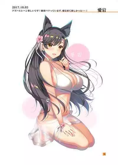 HIKAGE ILLUSTRATIONS 2