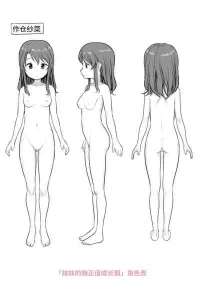 [Hayake] Nani Suru no!? Onii-chan!! | 欧尼酱!?你在干什么!! + 附赠DLsite限定特典 [Chinese] [Digital]