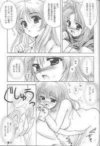 (C58) [ZiP (Moekibara Fumitake)] TINY MAGIC (Shining Sword Romance)