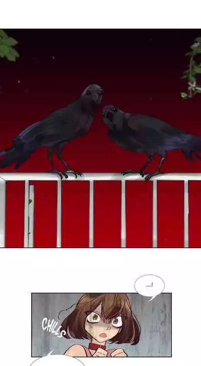 Devil Drop | 天降惡魔