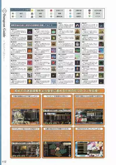 Amayui Labyrinth Meister Perfect Guidebook