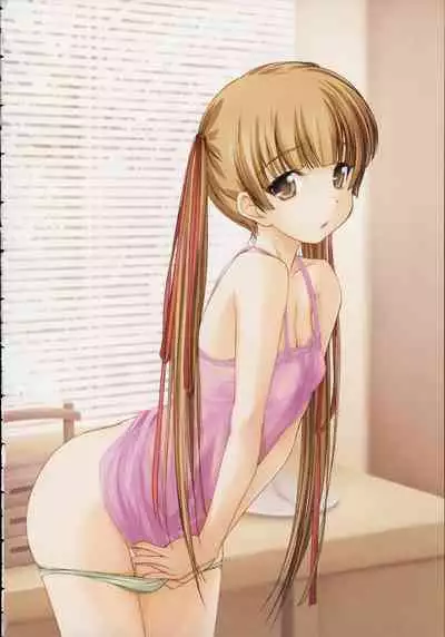 Shin Ringetsu Visual Fanbook