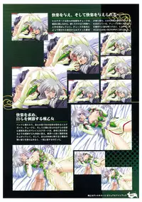 Ikusa Otome Valkyrie 2 Visual Fanbook