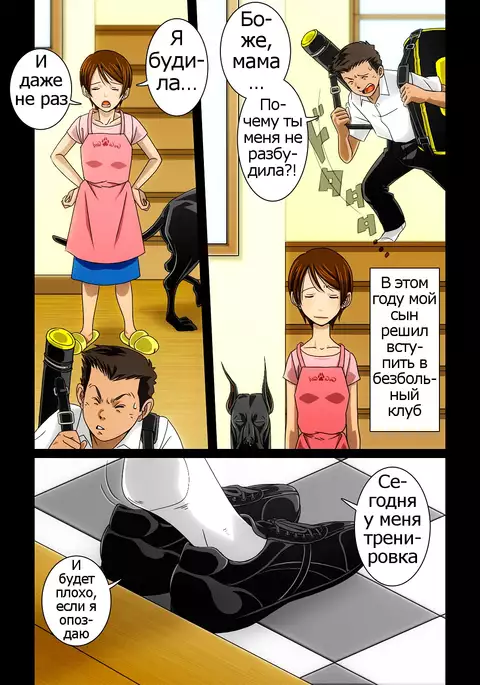 “Wonderful Life” ~Shufu to “Aiken” no Hisoyaka na Gogo~