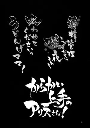 ANMITSU TOUHOU THE AFTER Vol.1