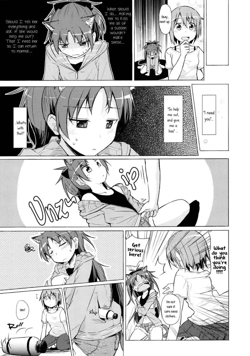 My Companion Became a Cat