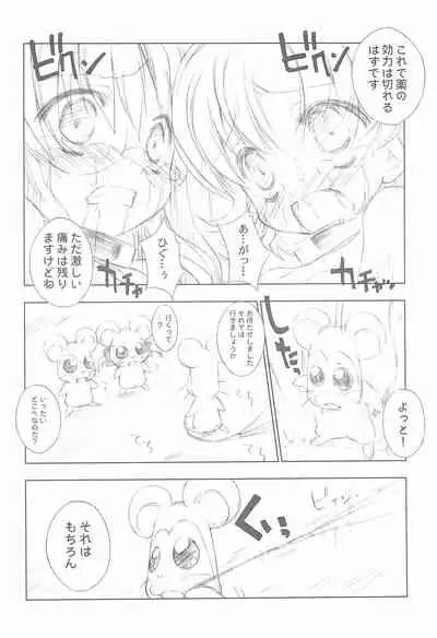 BATTLE FOR THE PLANET OF THE HAMS